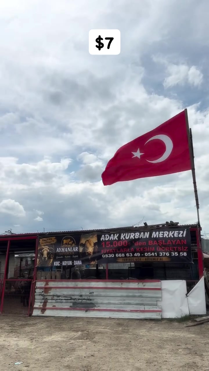 @Mehmet ŞEREMAT49