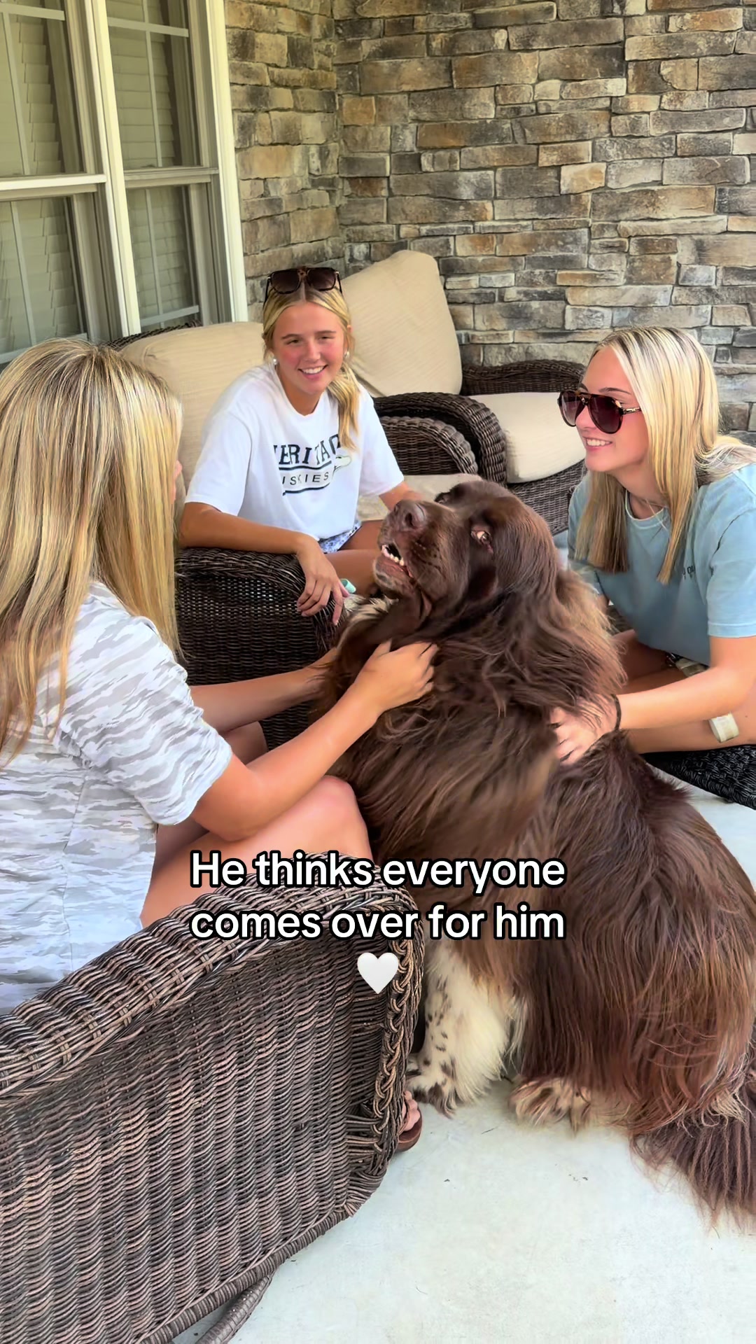@Chewy The Newfoundland