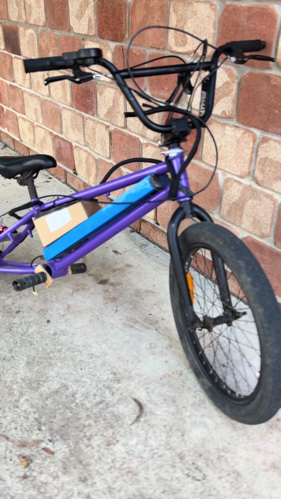 @One.Wheel_Oaklee