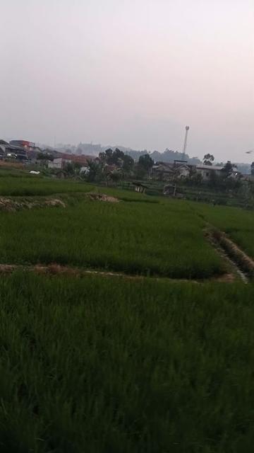 @BibiWarung