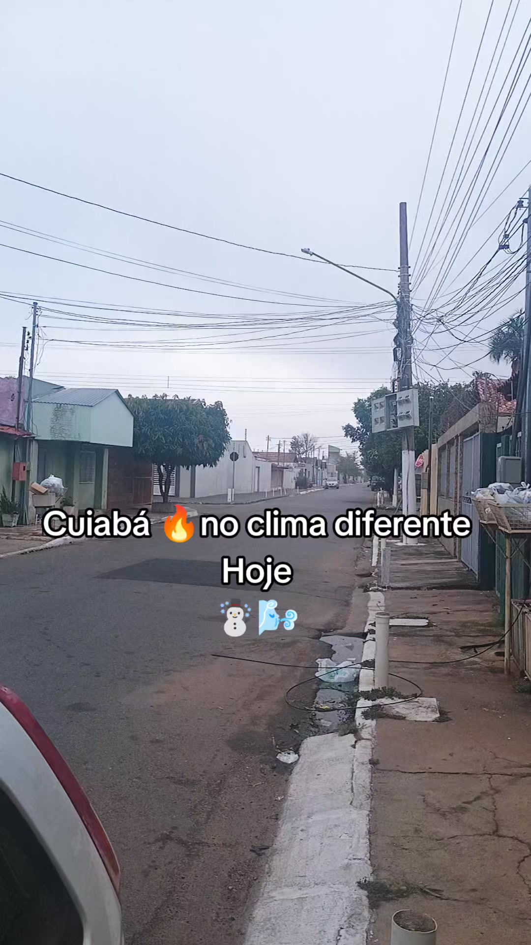 @Anny Padilha | Creator