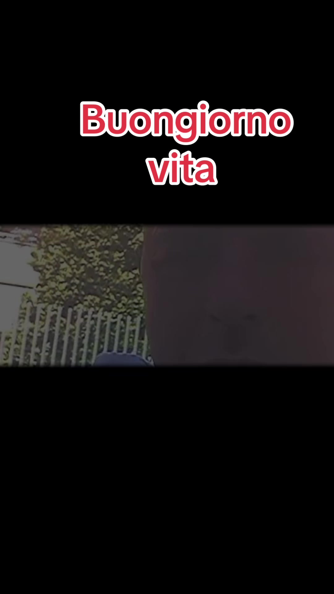 @scugnizzo 69