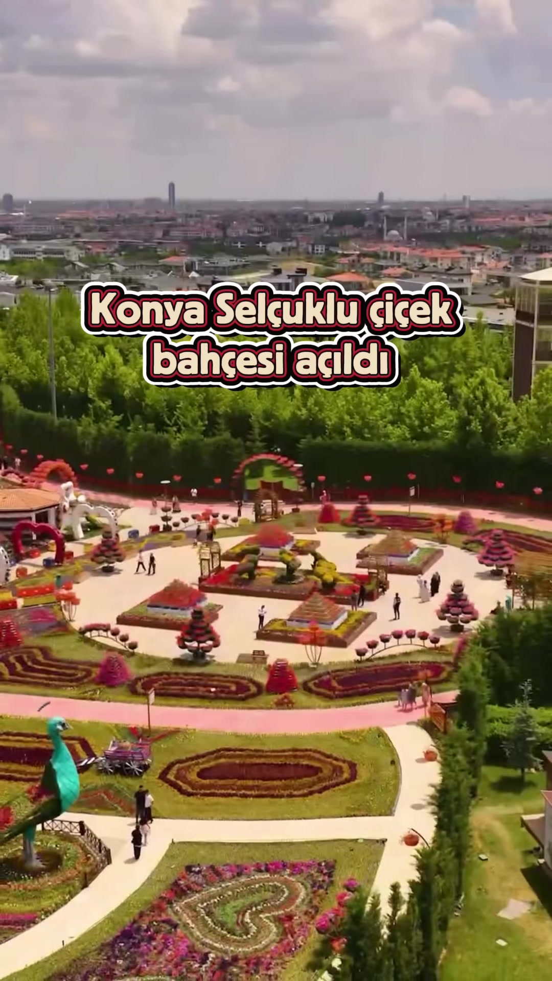 @Almina Ay&ccedil;i&ccedil;ek