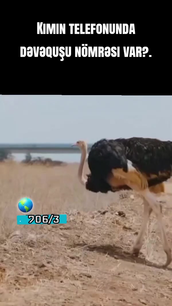 @706/92-95