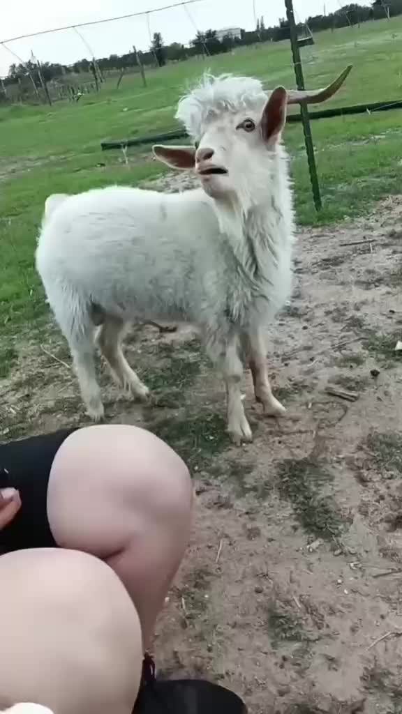 @Funny