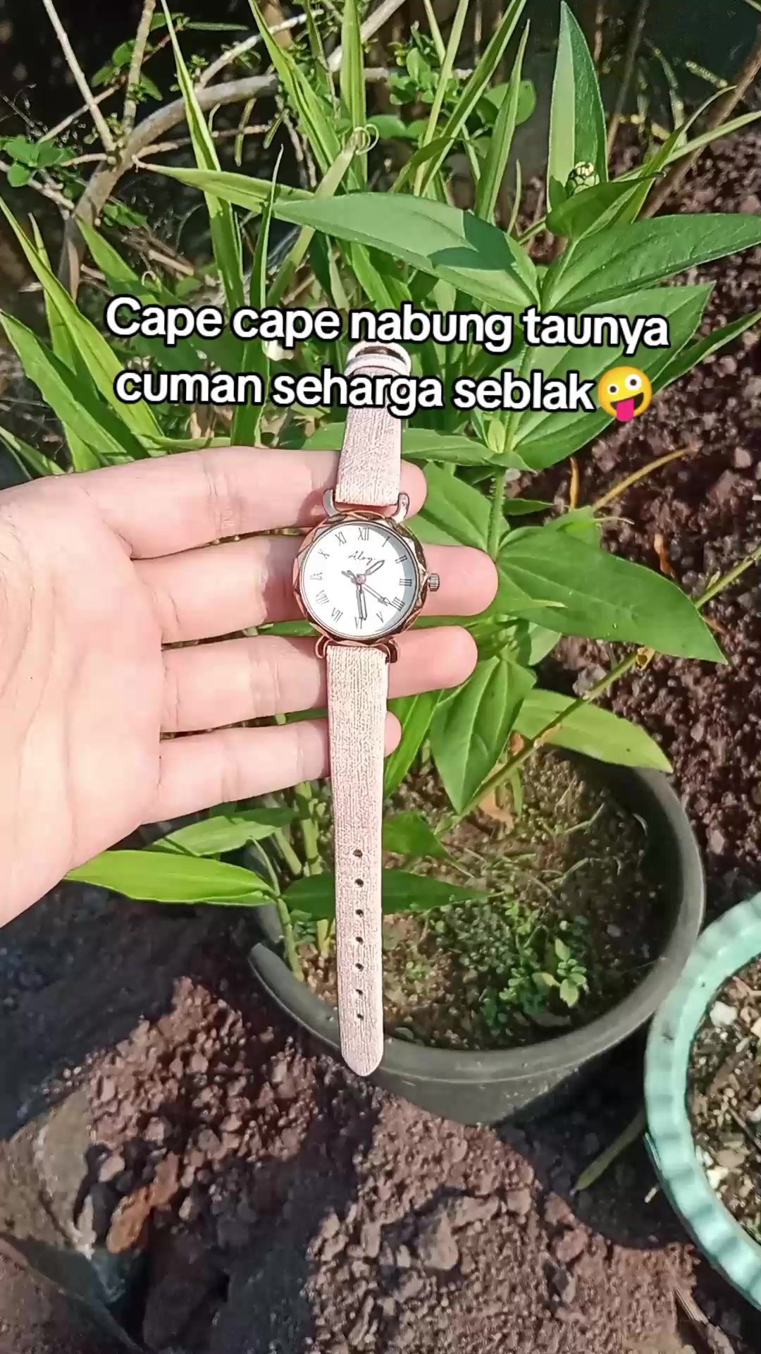 @S-tetik 🛒