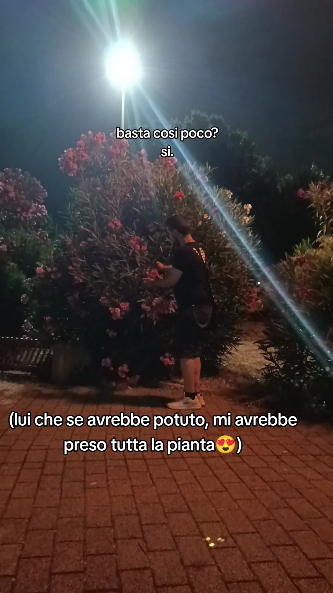 @Aury👽