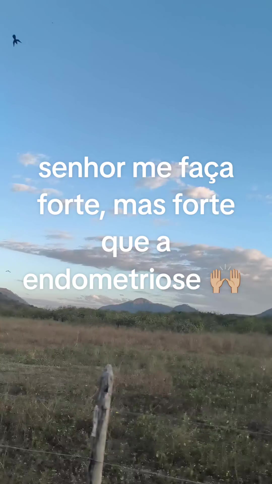 @Viviane Silva
