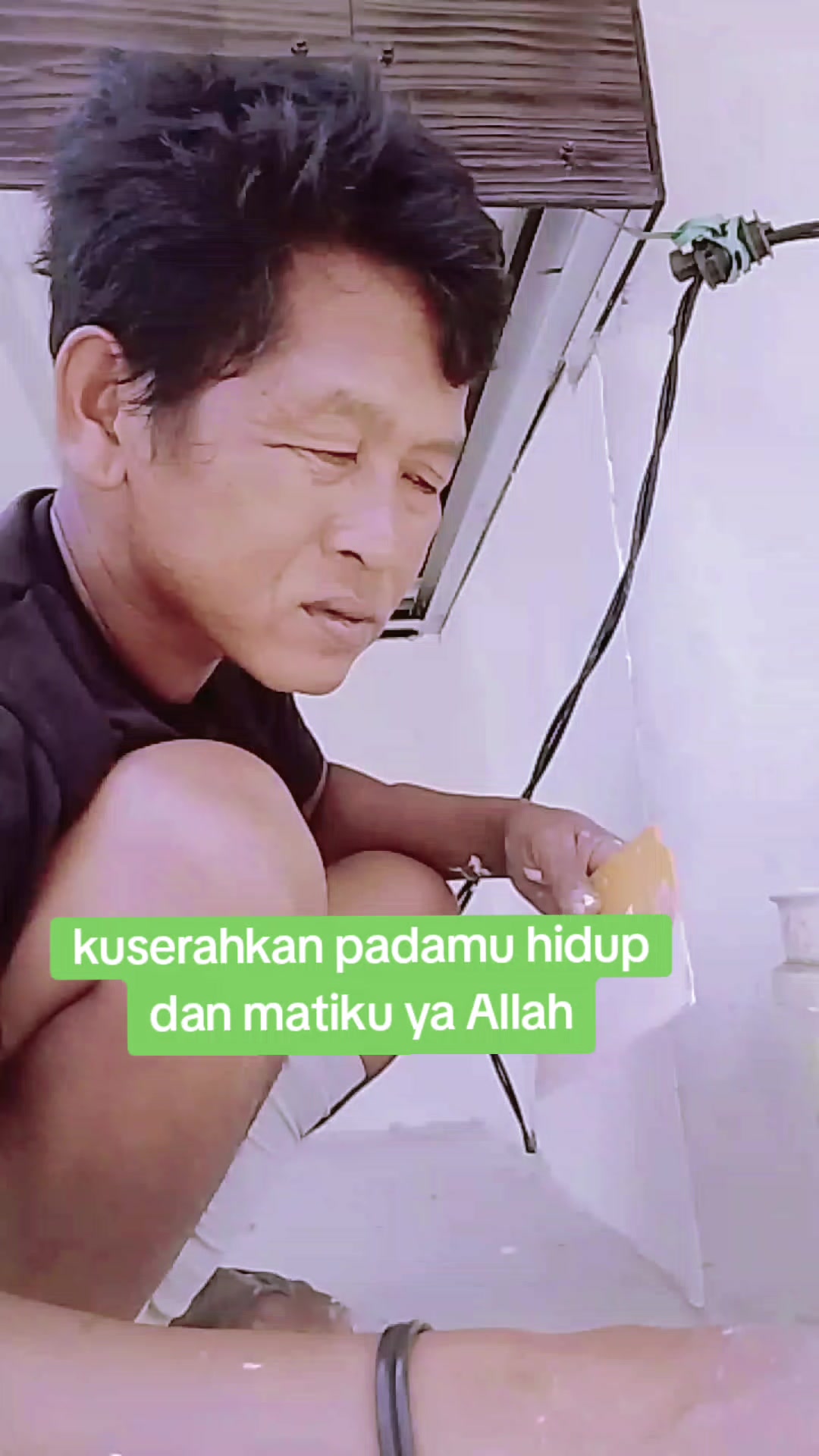 @tamrin