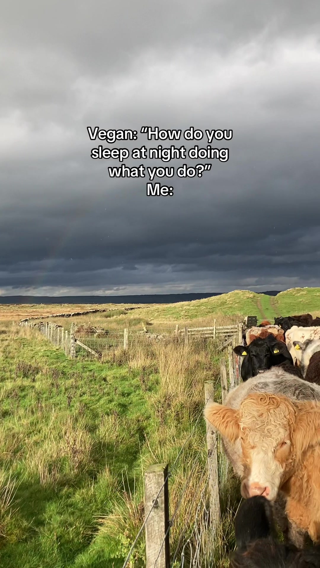 @Megan moo