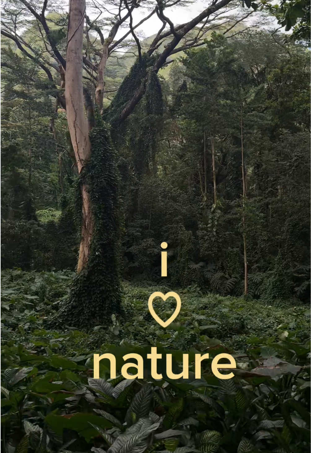 @nazzo.jpg