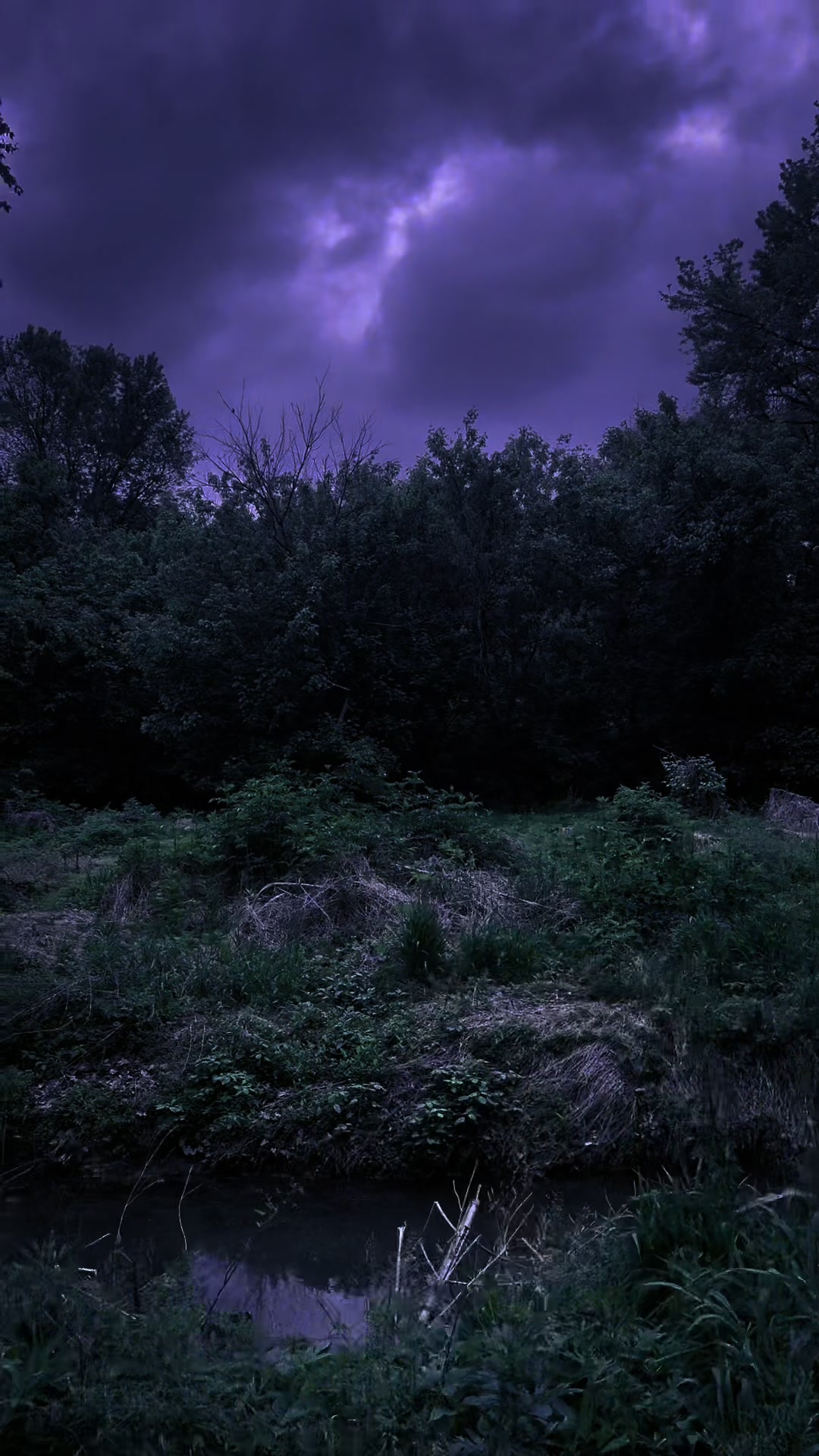 @DarkSpaces