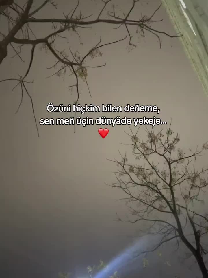 @ðð®ð¡ððŠðŠððð«ðð¡ð²ðŠï£¿ðïž