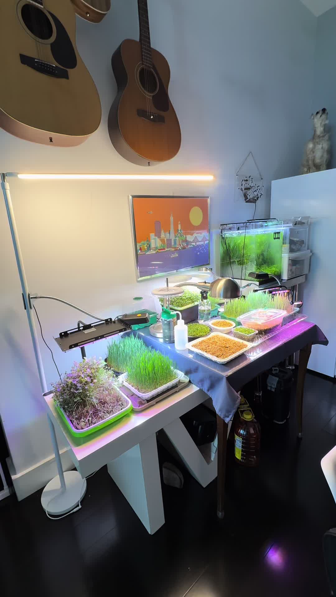 @HappyGoLiving