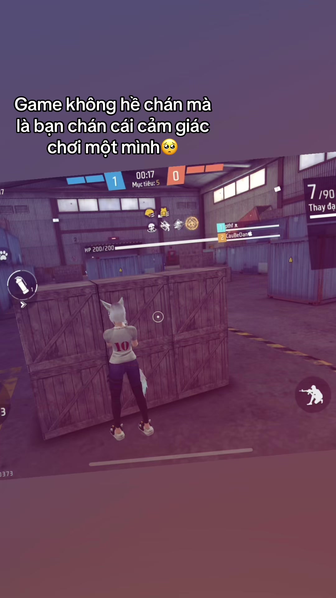 @mt