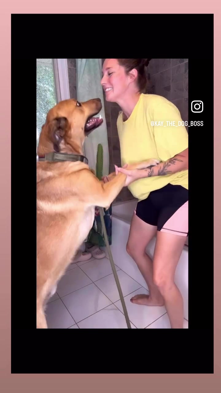@KAY_THE_DOG_BOSS