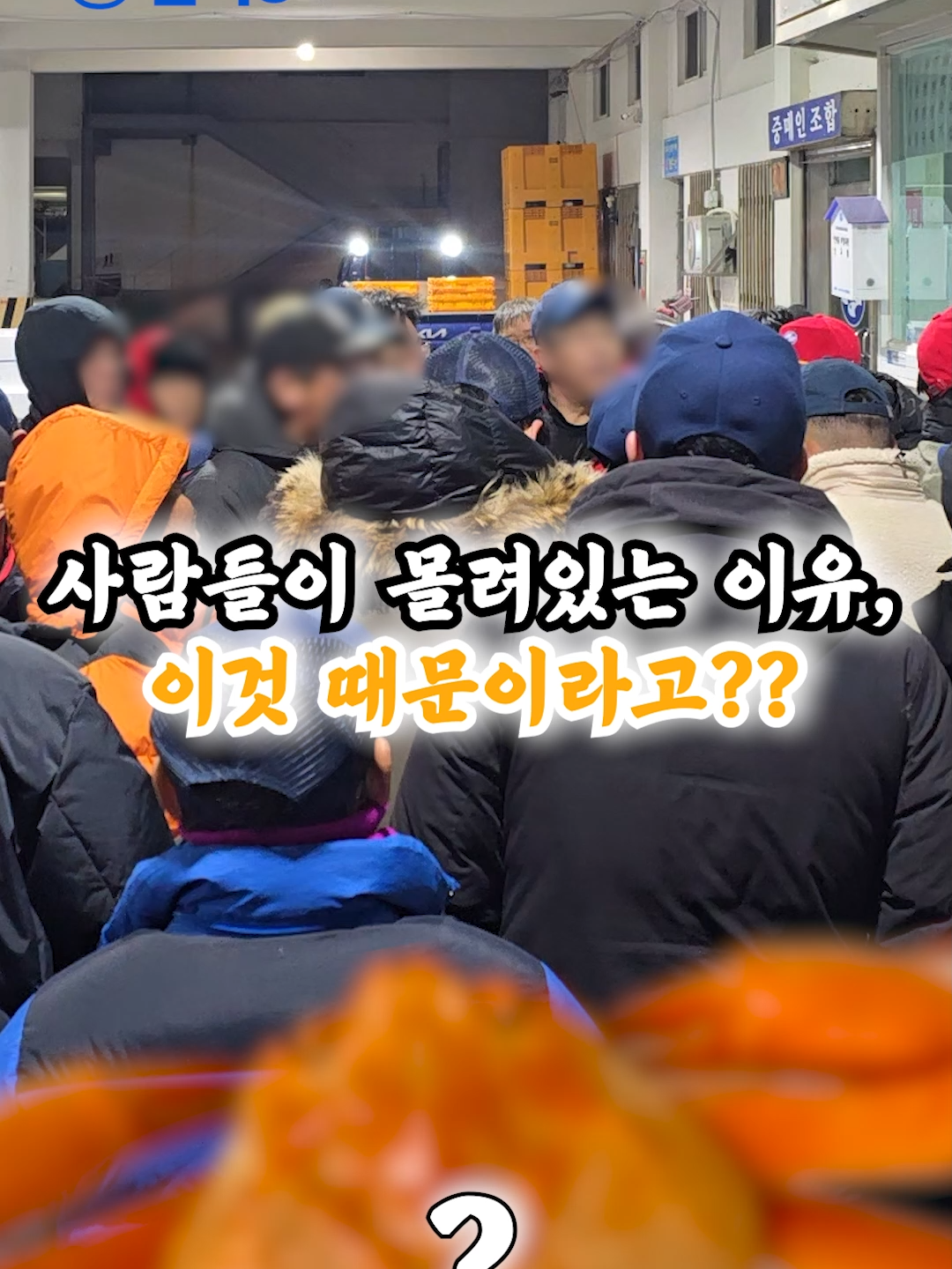 @싱싱헌터스