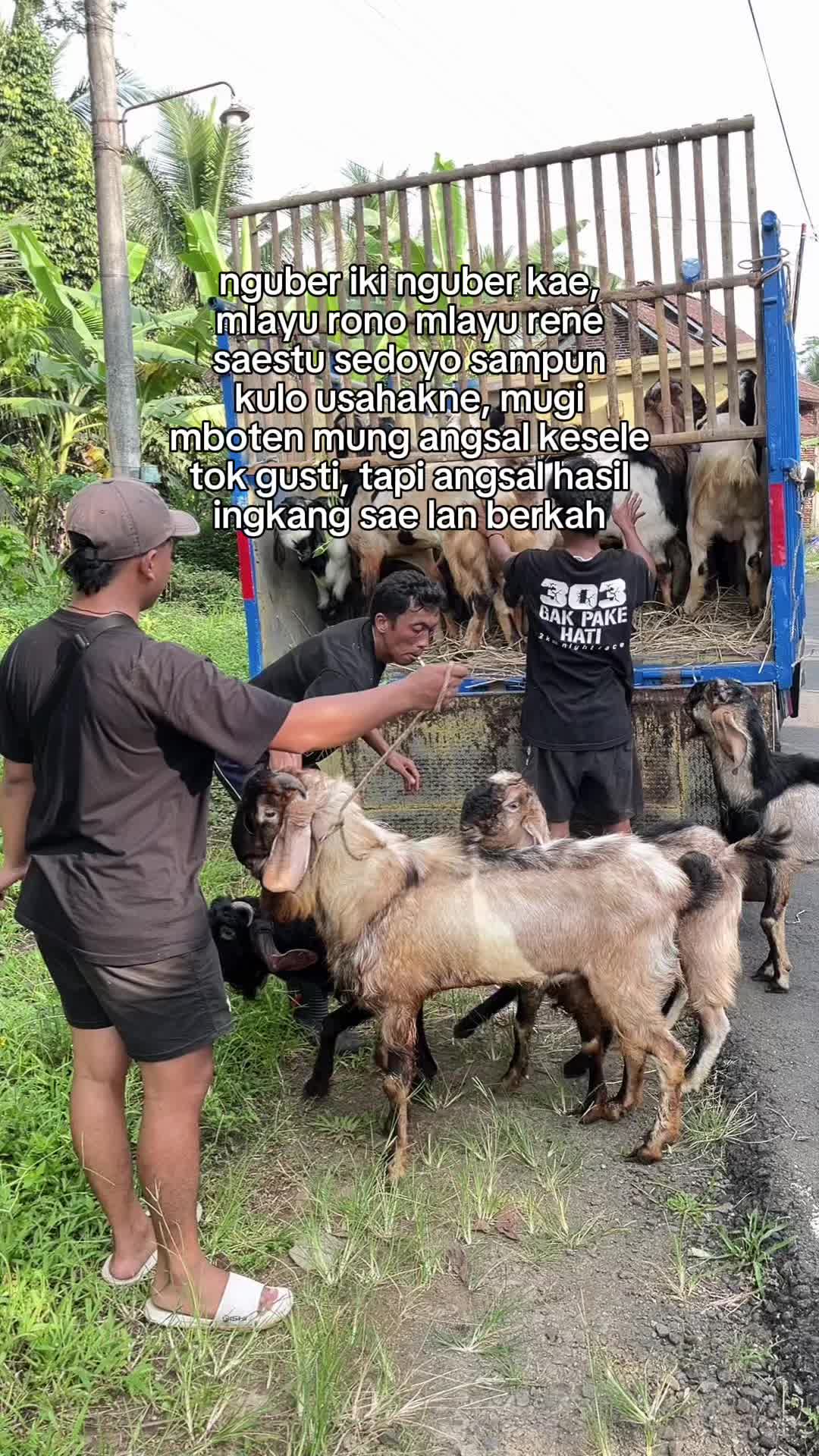 @SuprahFarmBanjarnegara