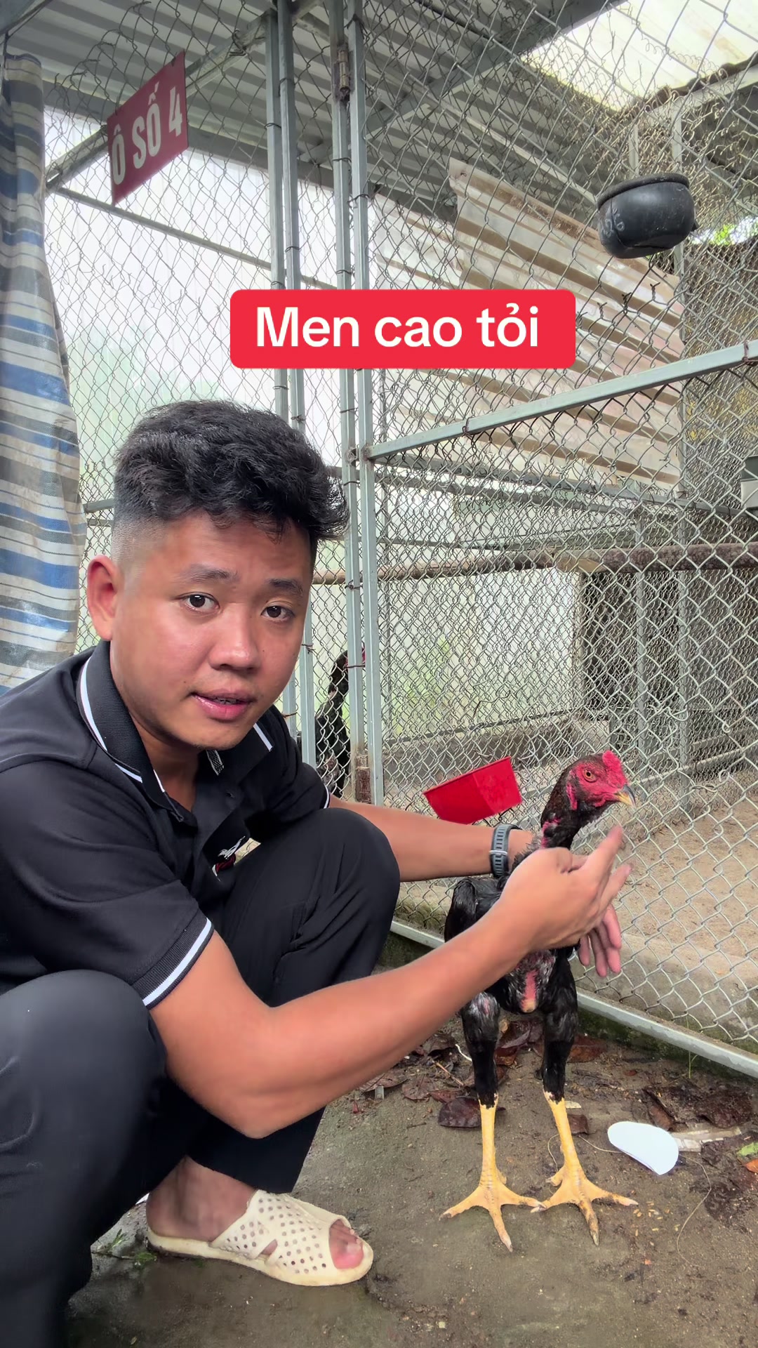 @Quyền Ba Vì