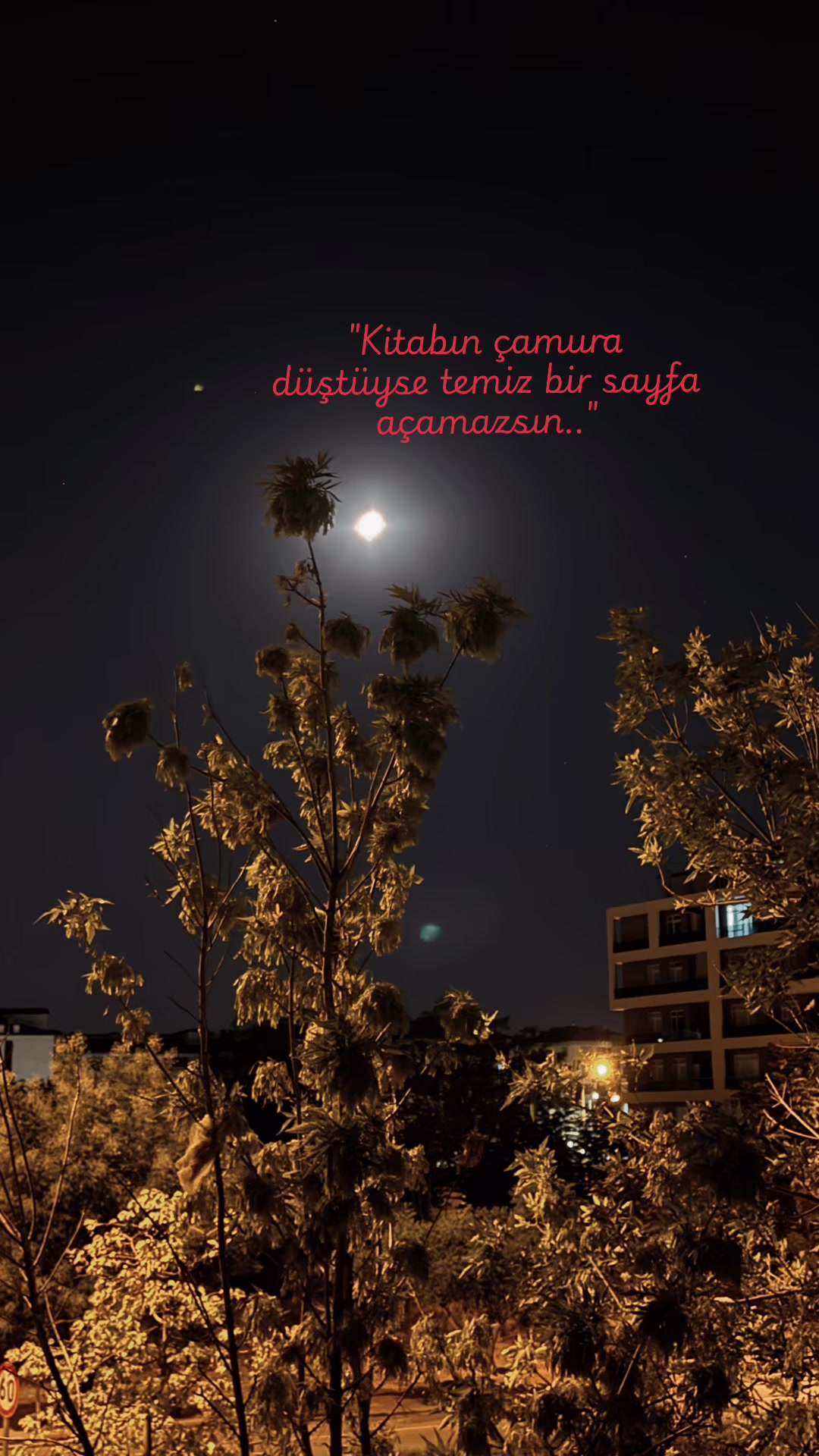 @Merve