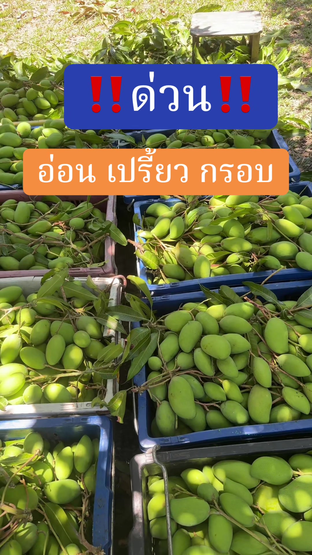 @อาหารตากแห้ง