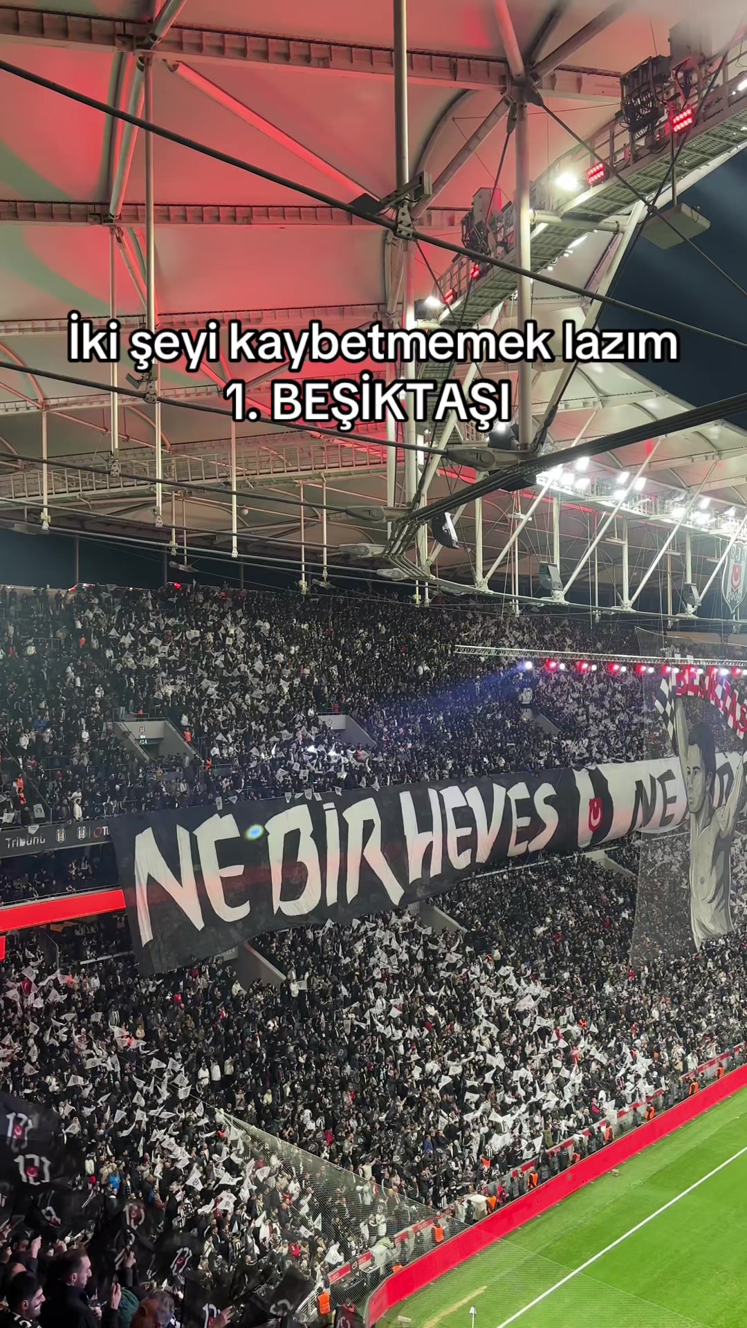 @Elif 🦅