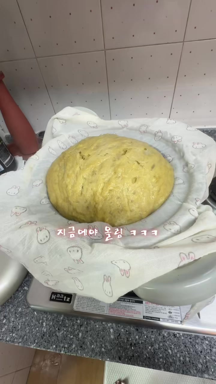 @고애❤️