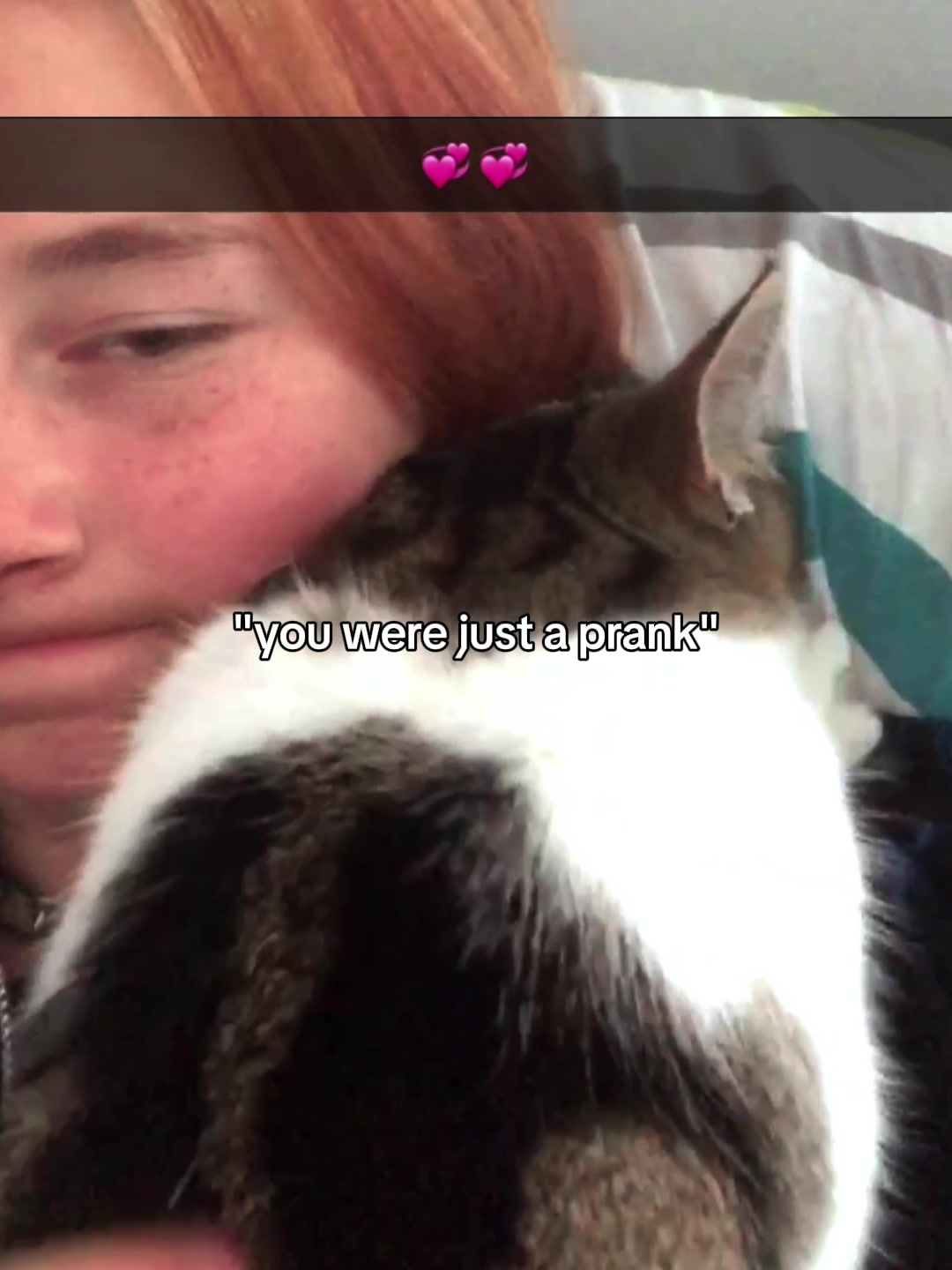 @soph_lesbian_stuff._
