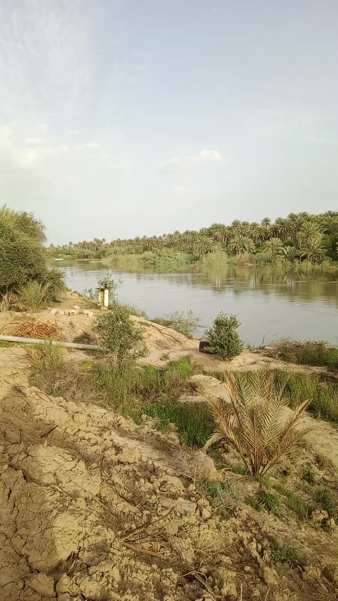 @هاجر طارق 🍒