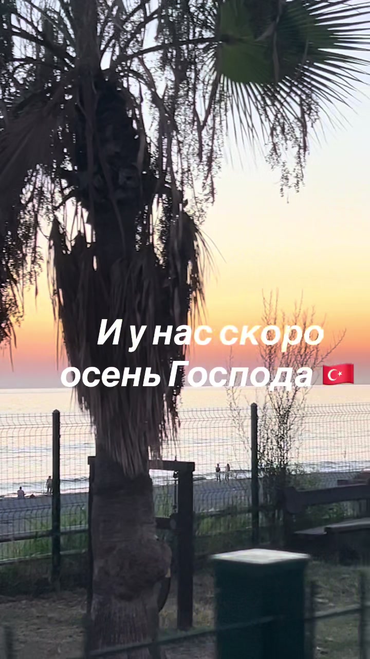 @dina