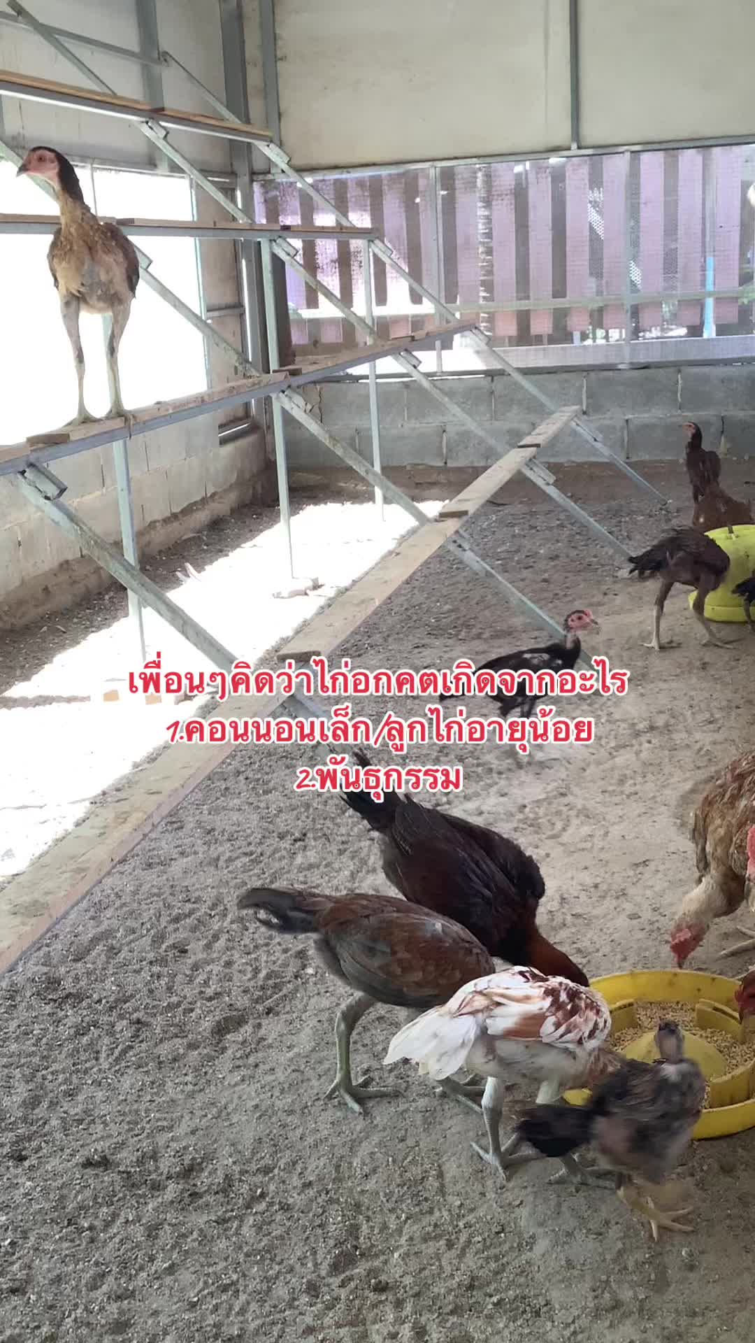 @เฮียนุ่ม บ้านบึง
