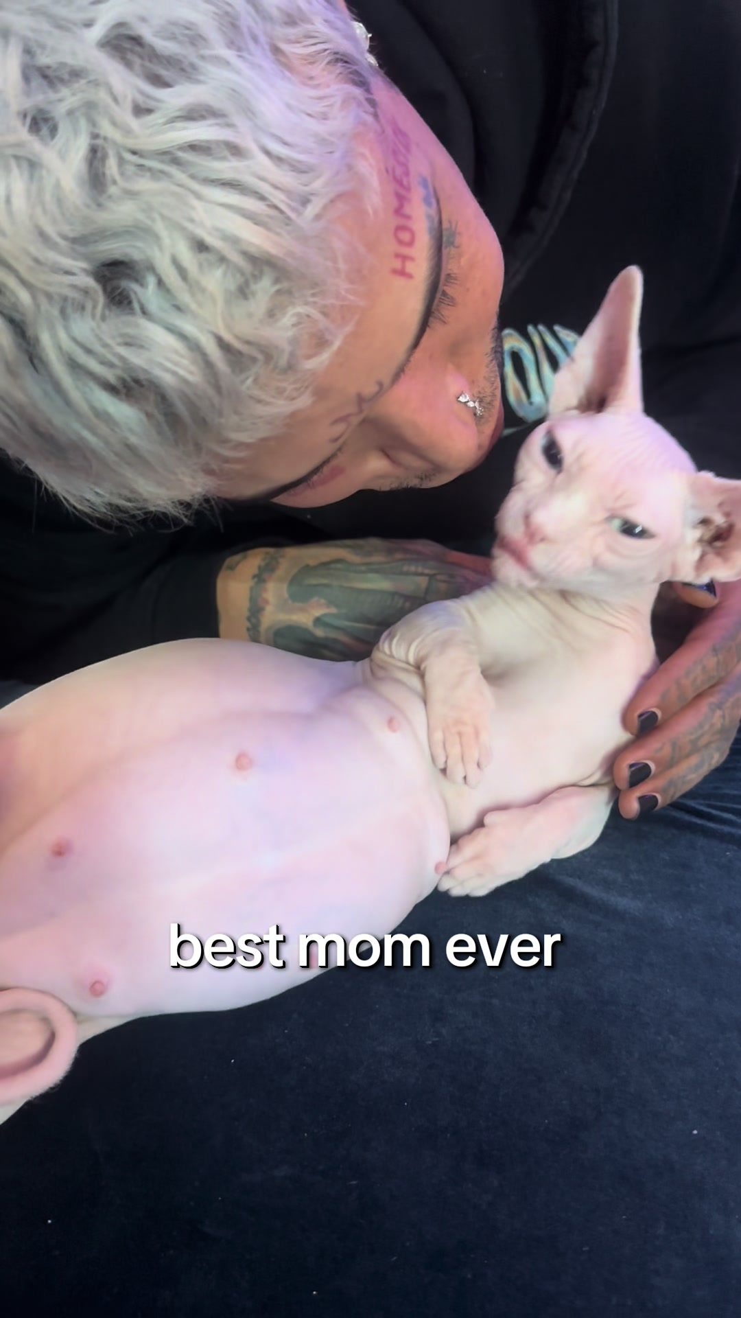 @famoussphynx