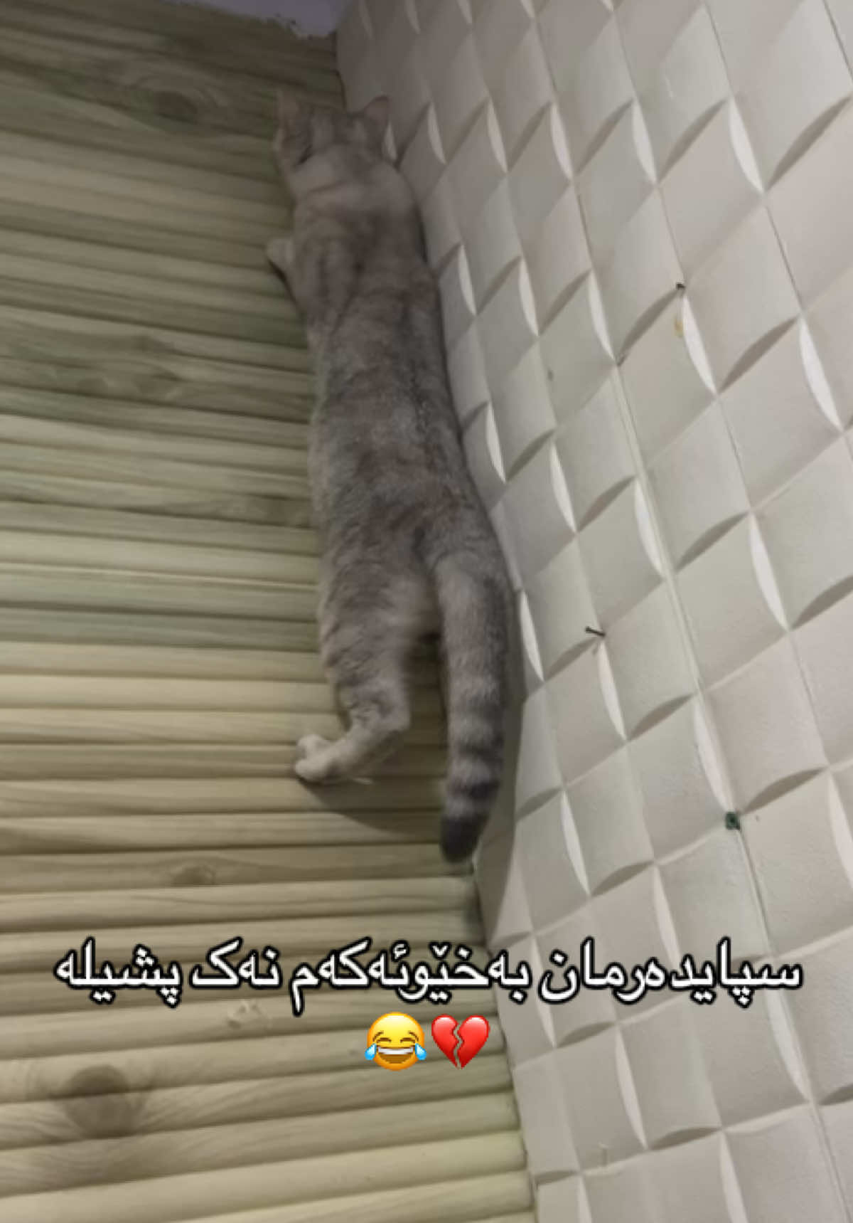 @R&rsquo;&rsquo;🌞♾️
