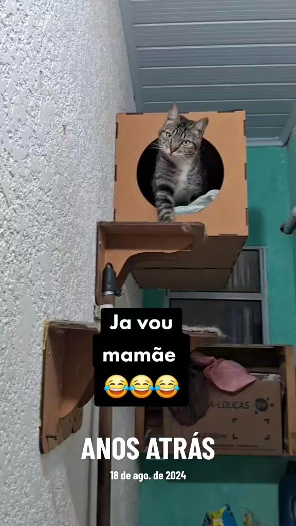 @lua