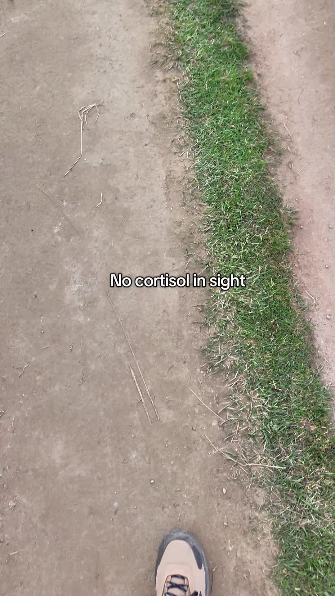 @paleonate