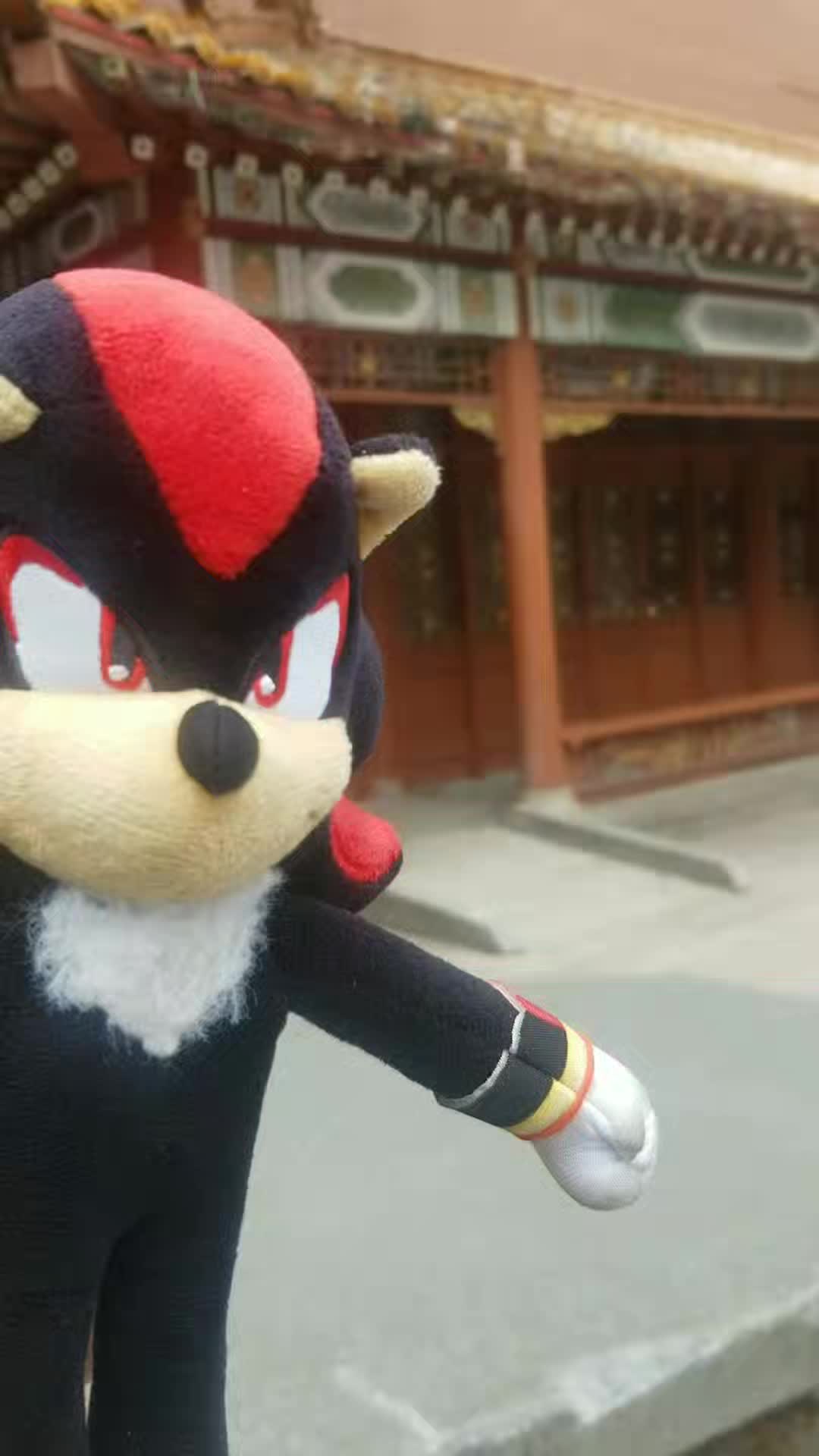@🎩Big Top🕷 and 🔫Shadow🦔