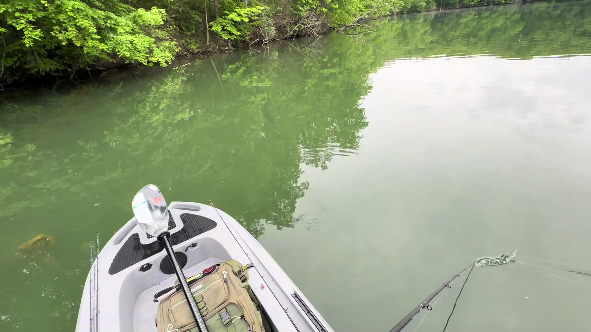 @BigBassFish