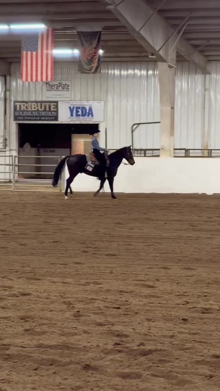 @🌻Kaitlyn C. Dudycz🐴