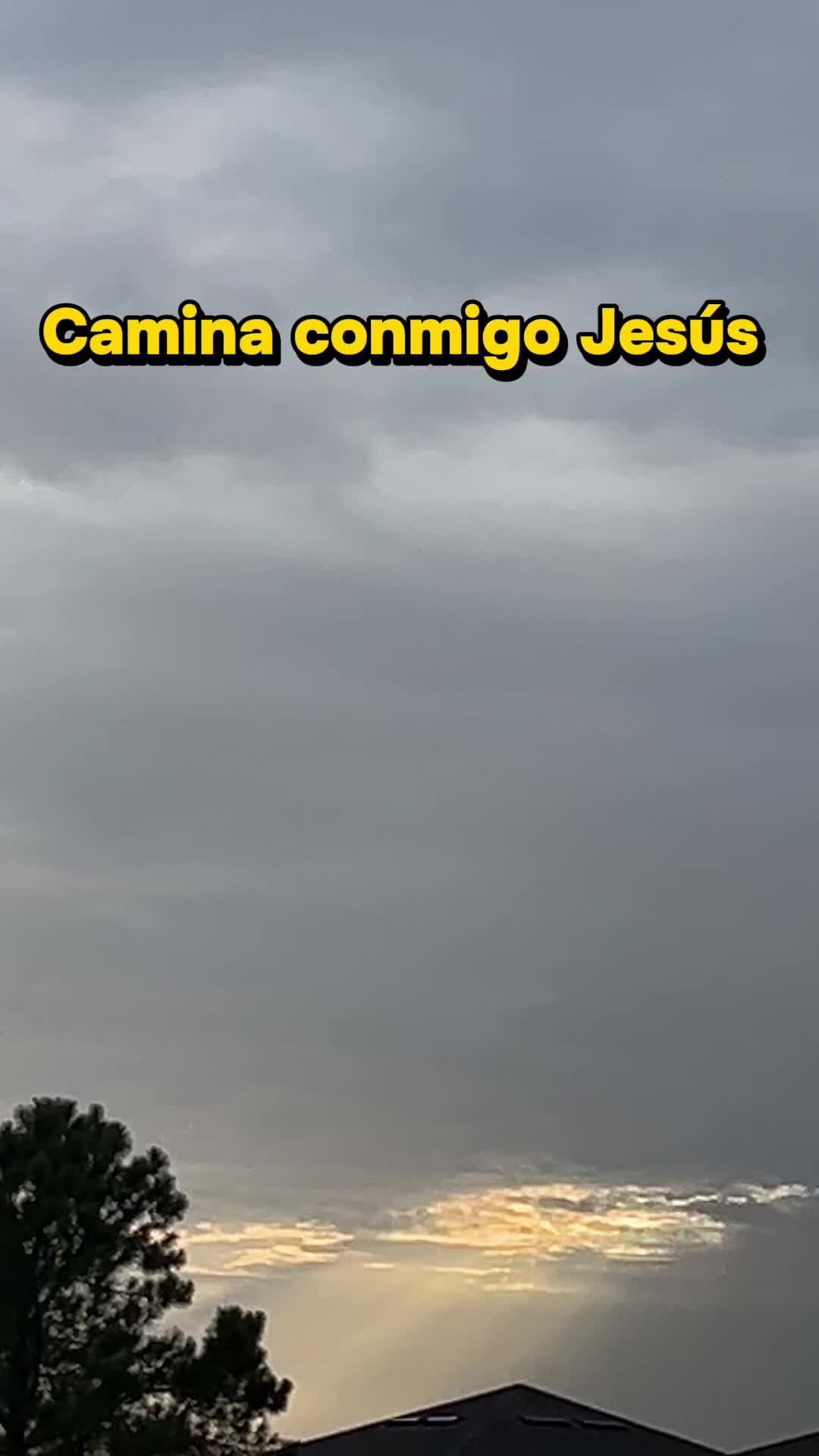 @masterzapata7dan