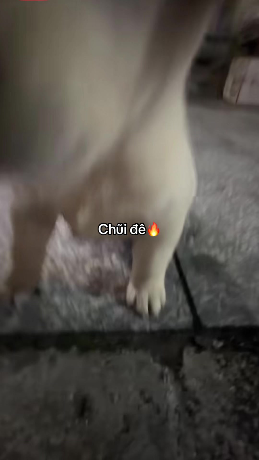 @Đ&egrave;n Đường Số 12