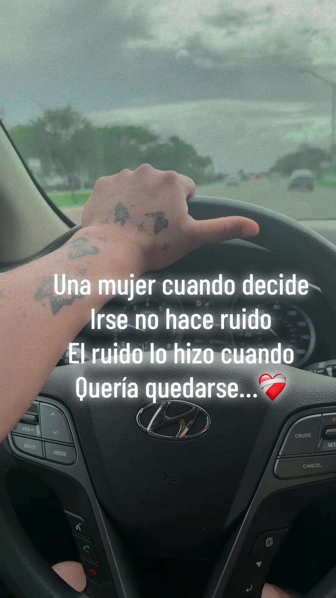 @Linda 🐰🐰