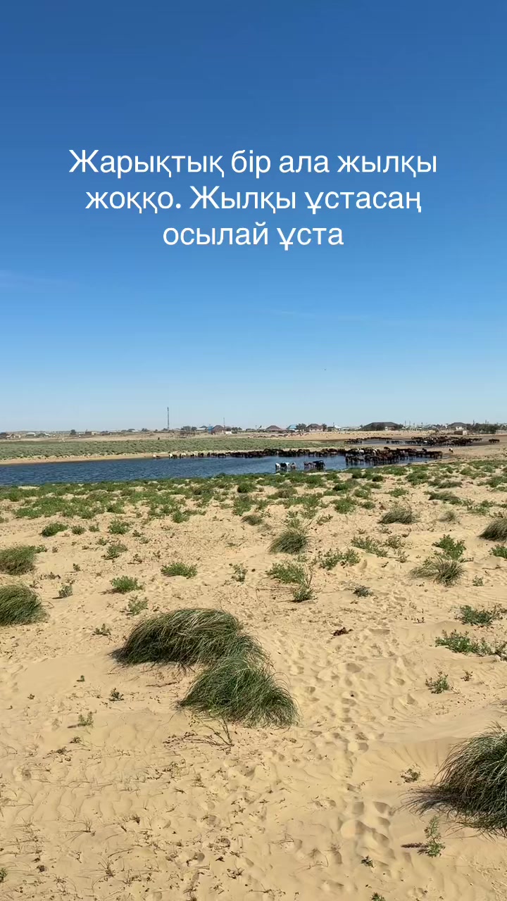 @Наурызбек