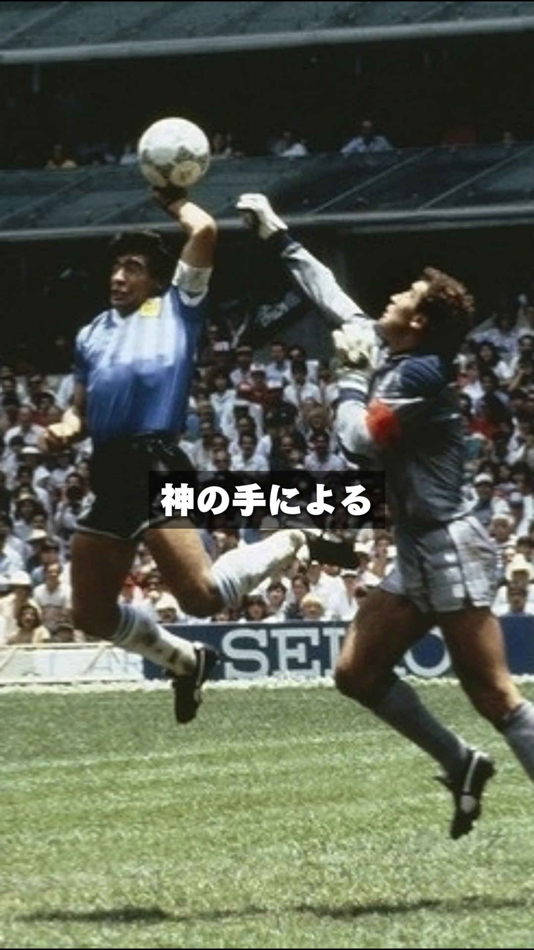 @みやび｜スポーツ案内人