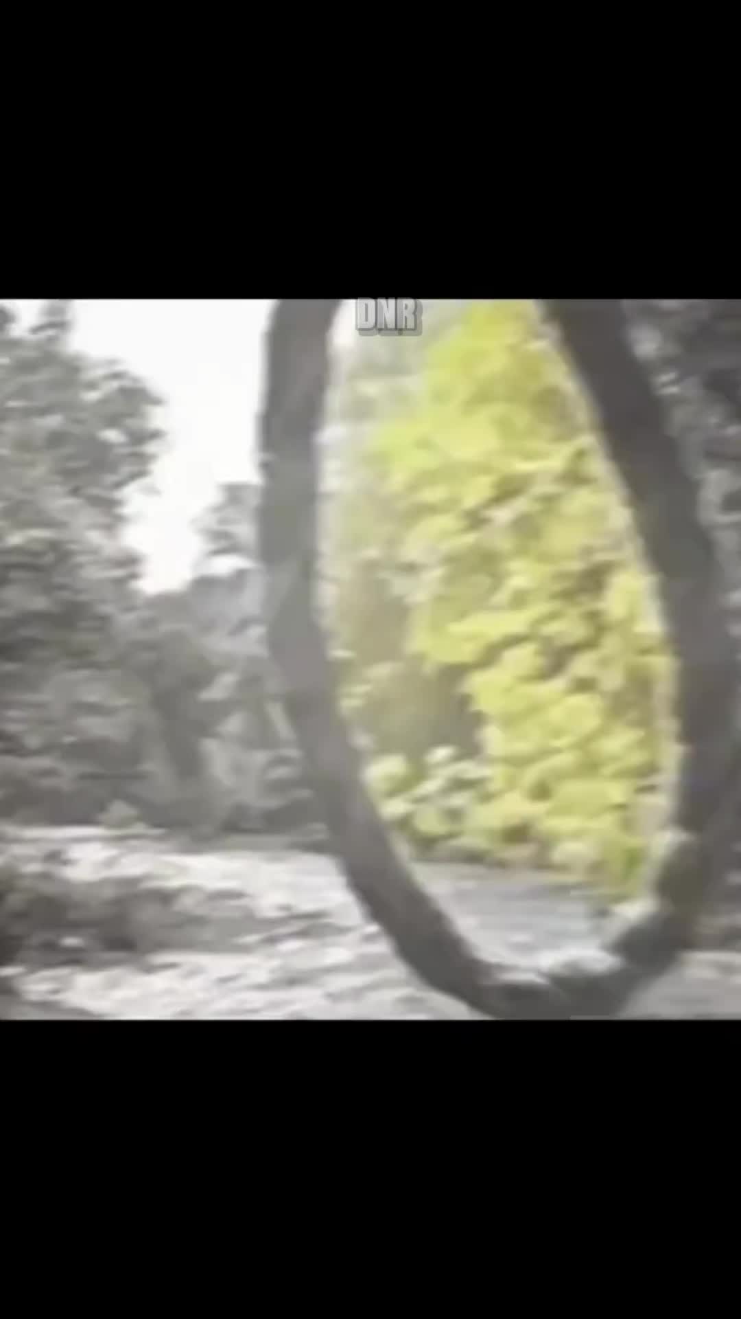 @WINTER ARC ᴅɴʀ