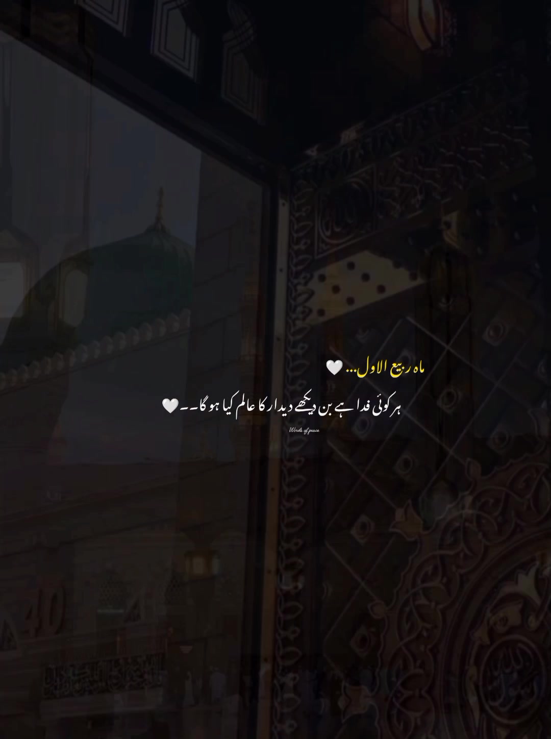 @قلم کی نمی🥀