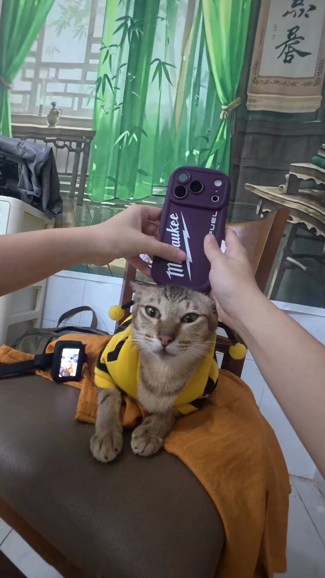@Khế thúi