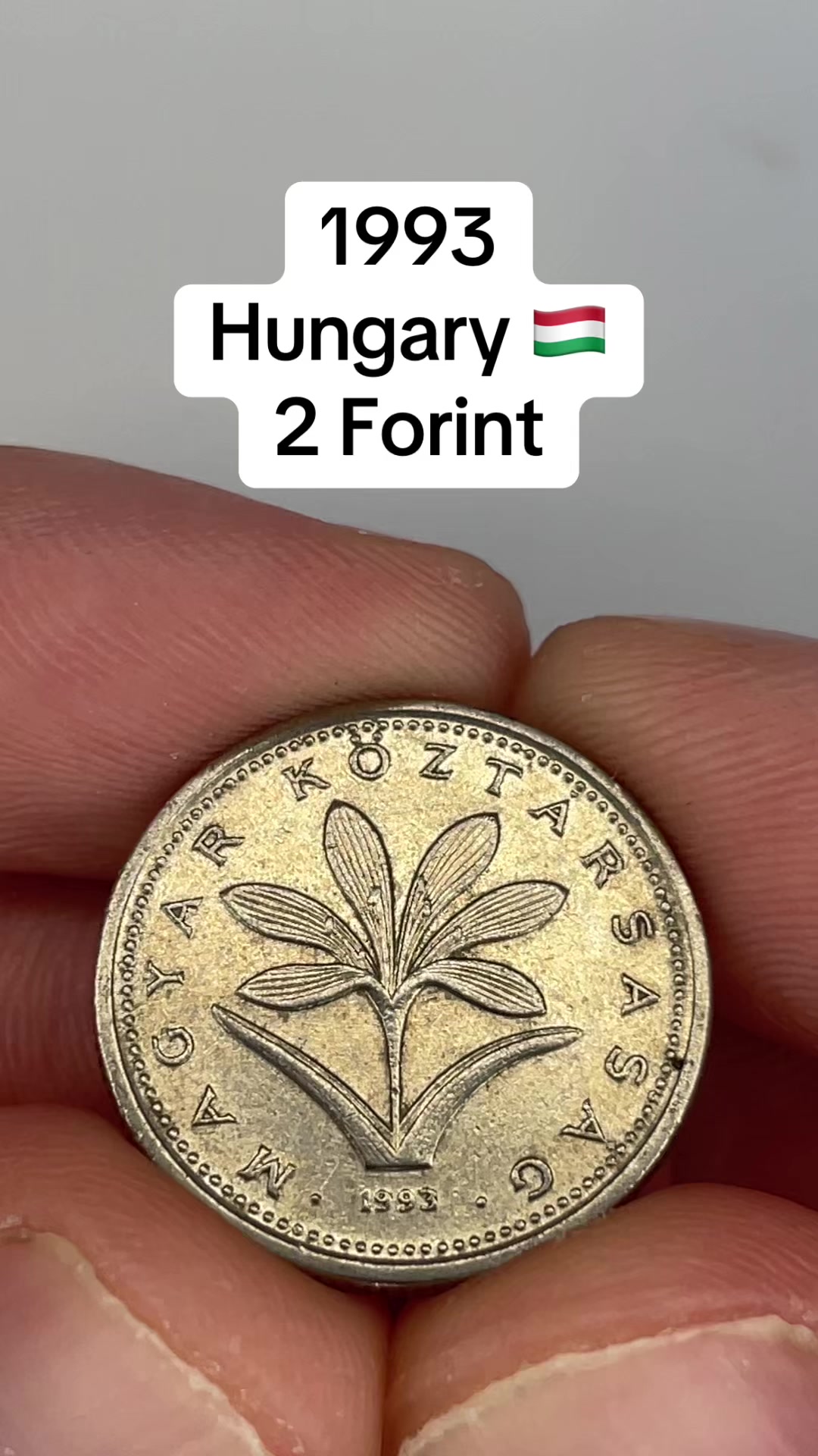 @Wizard’s World Coins & Antique