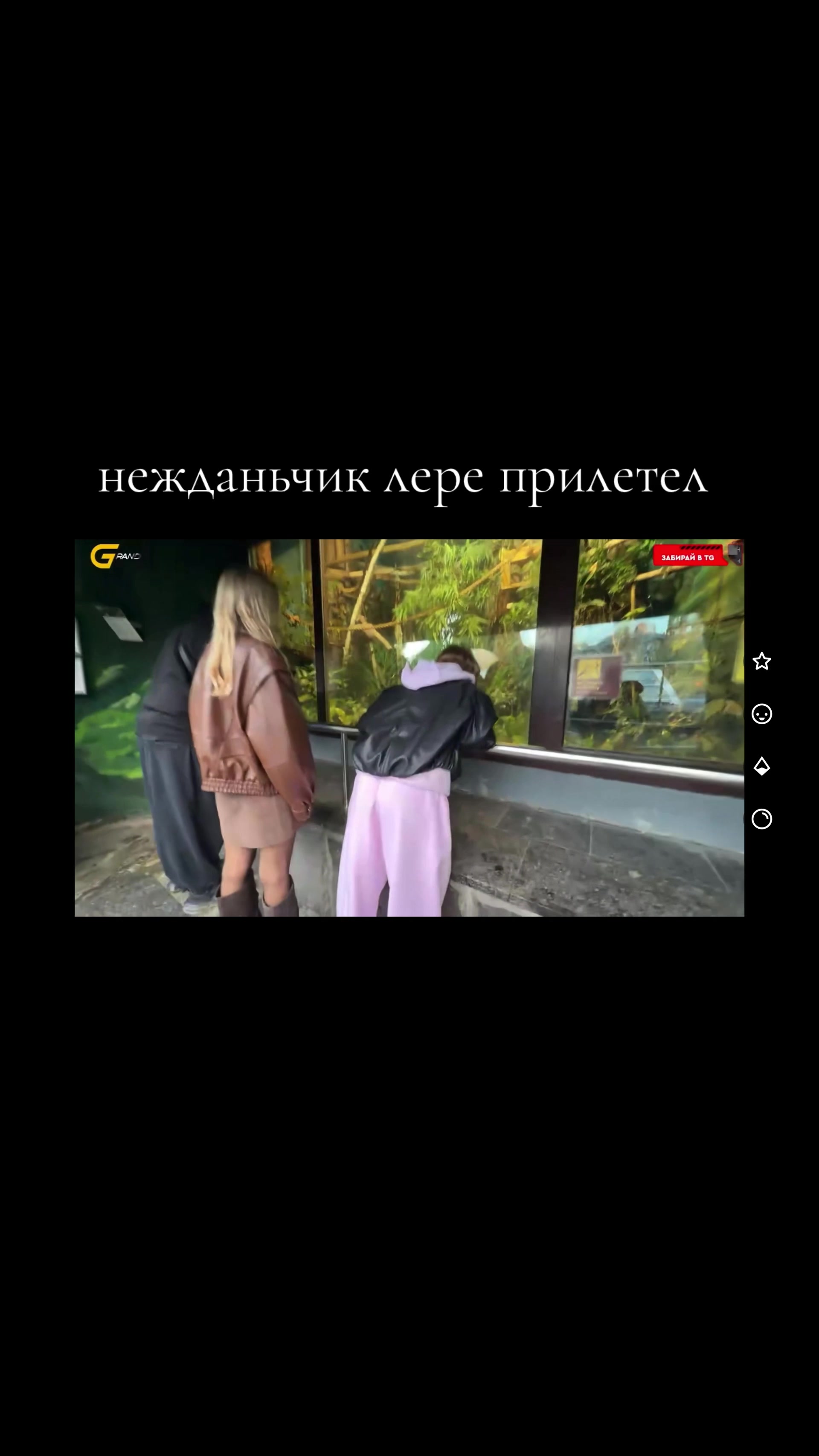 @twitchofanarandsimka