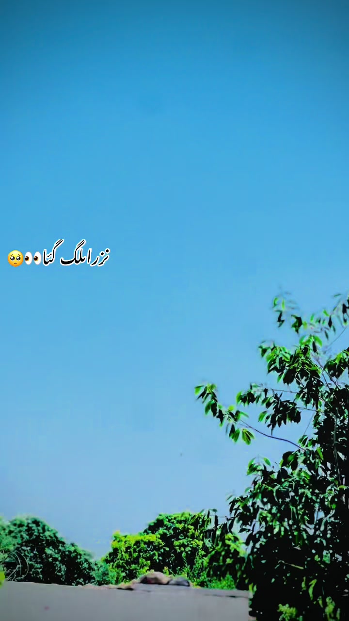 @🥷زیبی ملتان آلا 🥷