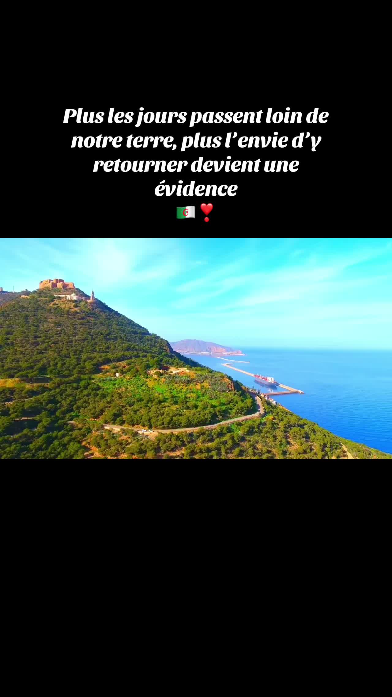 @Algéroise16
